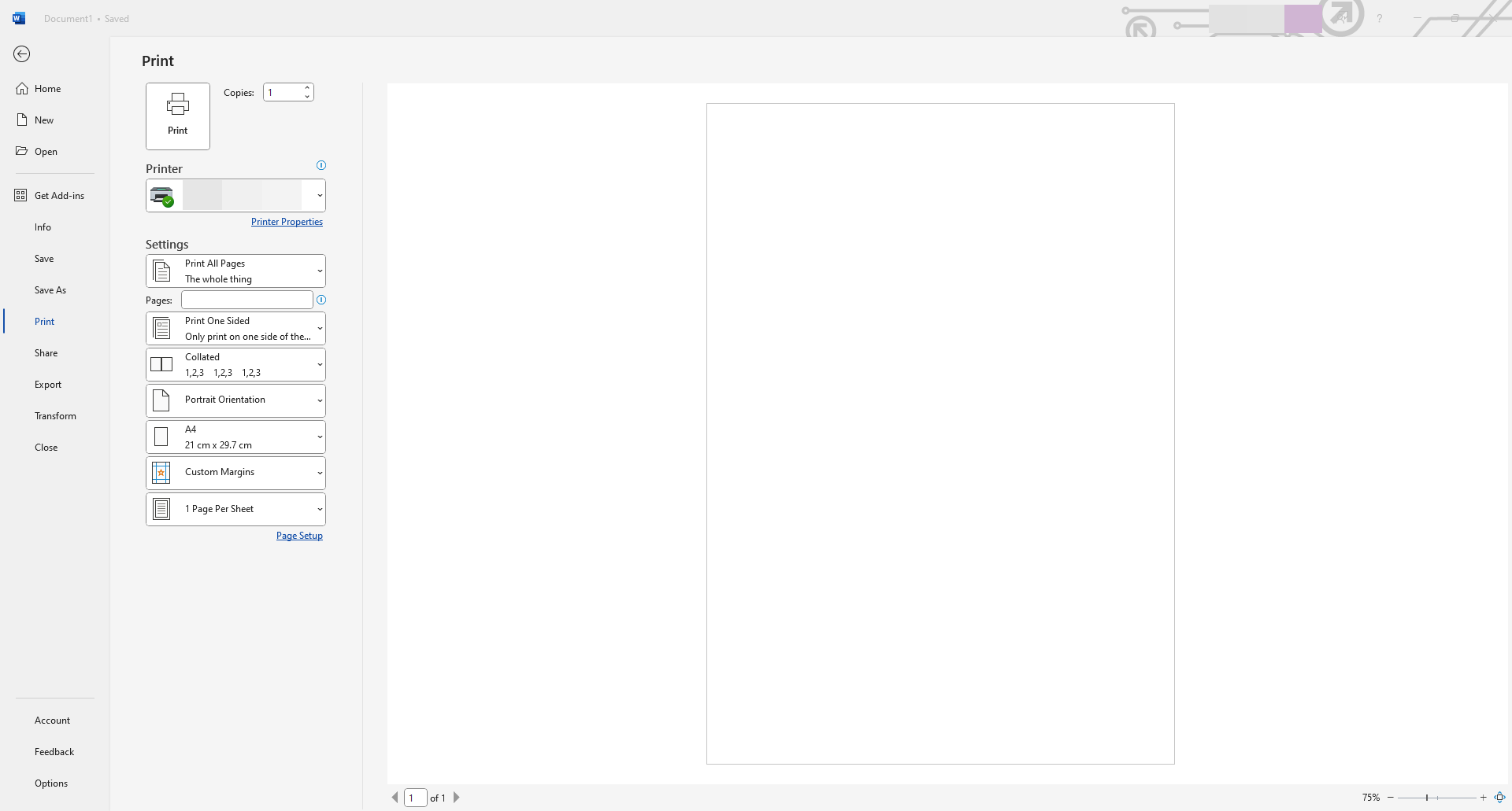 Print Preview Window